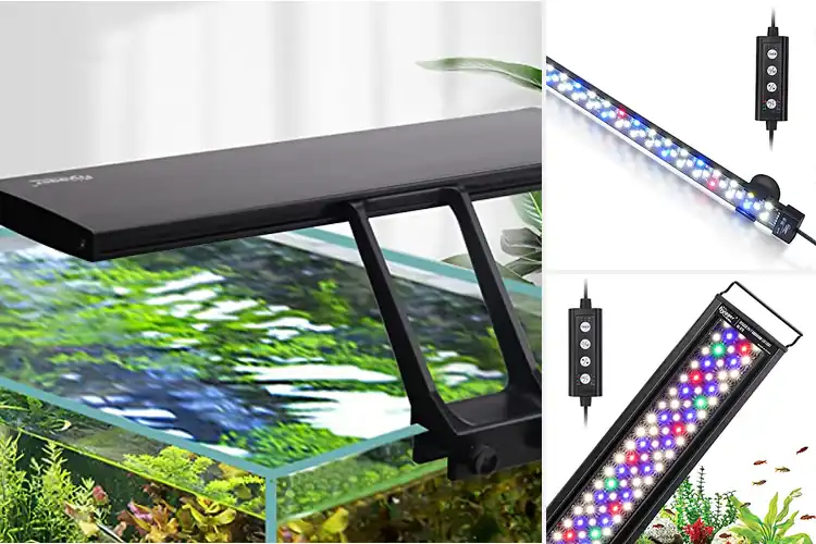 Detailed view of Best Aquarium Lights with Moonlight Modes