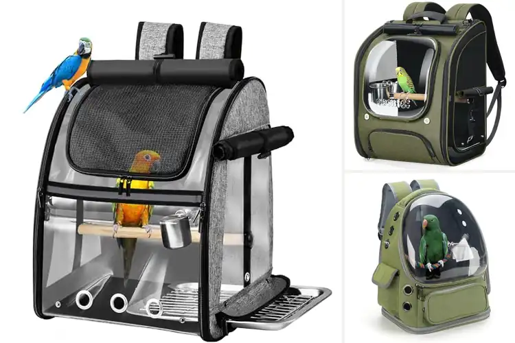 Detailed view of Best Bird Camping Carriers: Comfort & Safety on Trails