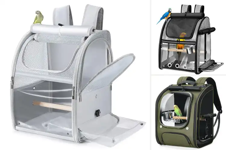 Detailed view of Best Bird Carrier Backpacks – Top 10 Picks for Safe Travel