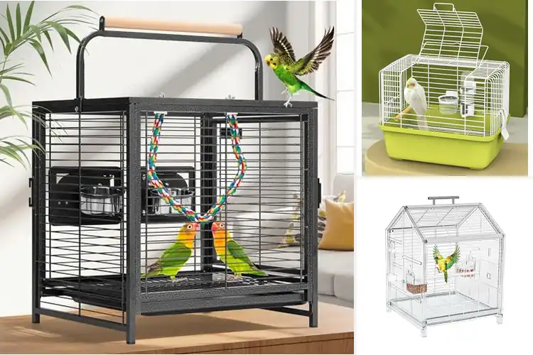 Detailed view of Best Bird Travel Cages: Top 10 Safe Picks