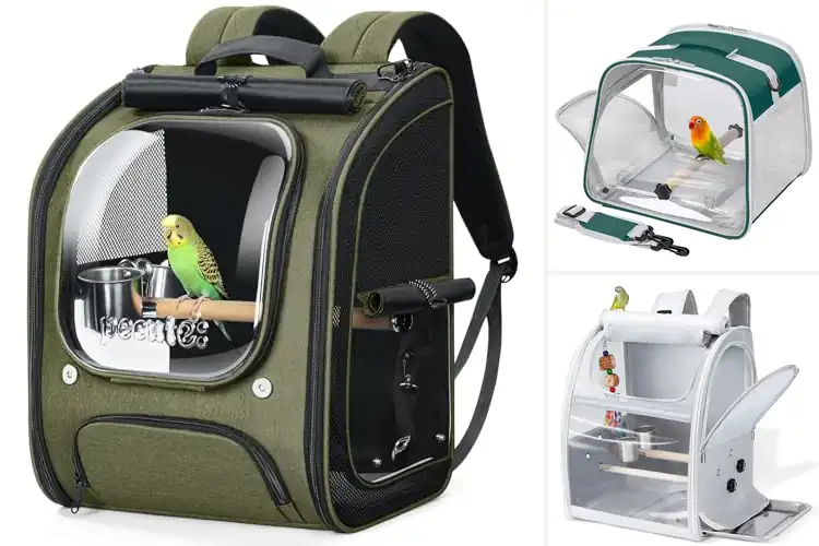 Detailed view of Best Bird Vet Carriers: Top 10 Safe Travel Picks