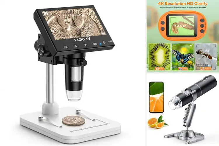 Detailed view of Best Digital Microscopes for Beginners