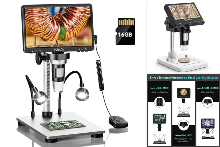 Detailed view of Best Digital Microscopes for Stunning Views
