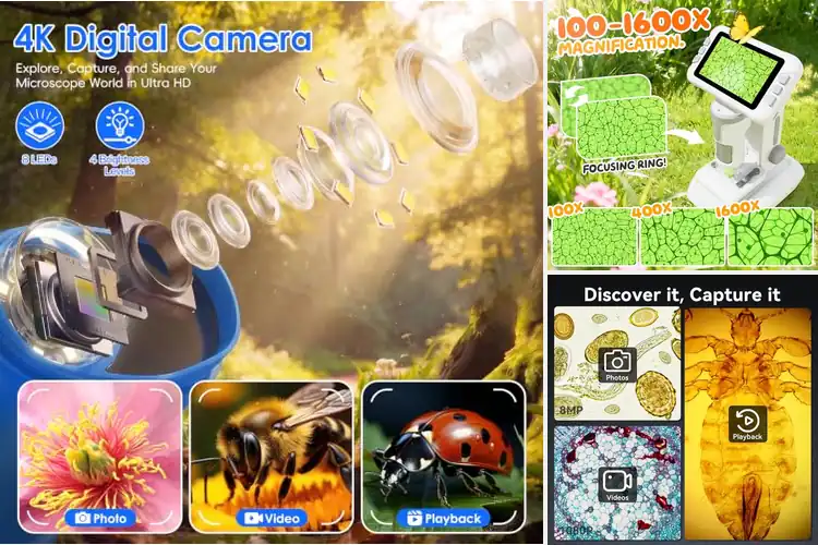 Detailed view of Best Digital Microscopes With Screen For Children