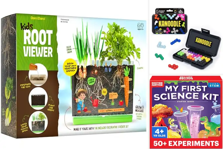 Detailed view of Best Educational Gifts for Kids