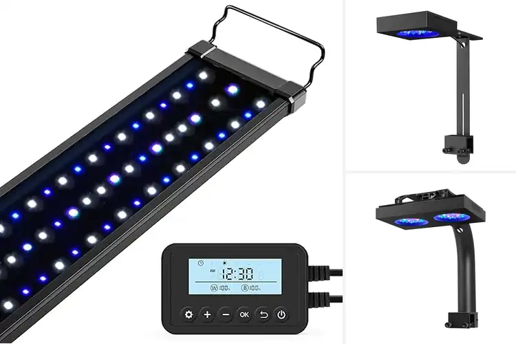 Detailed view of Best LED Aquarium Lights for Reef Tanks