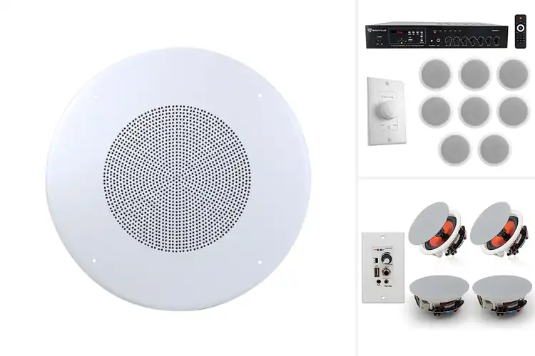 Detailed view of Best Office Ceiling Speakers