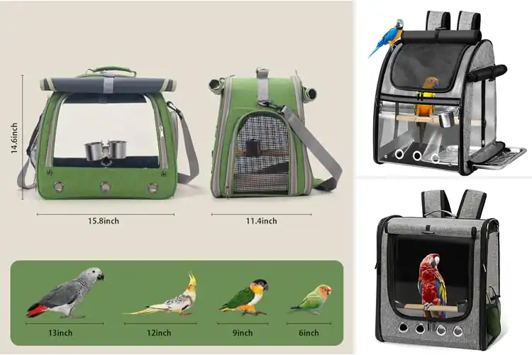 Detailed view of Best Parrot Travel Carriers