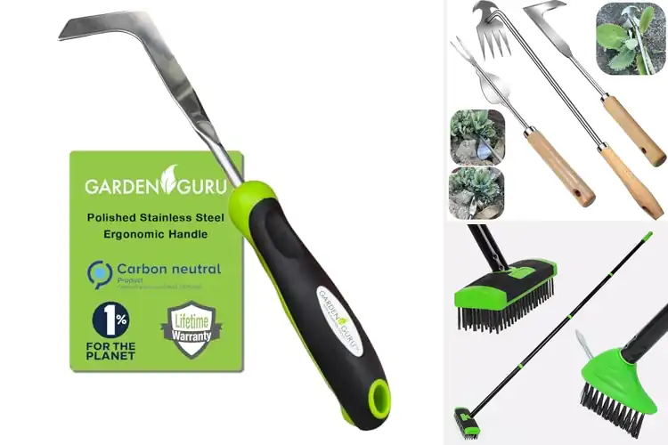 Detailed view of Best Patio Maintenance Tools