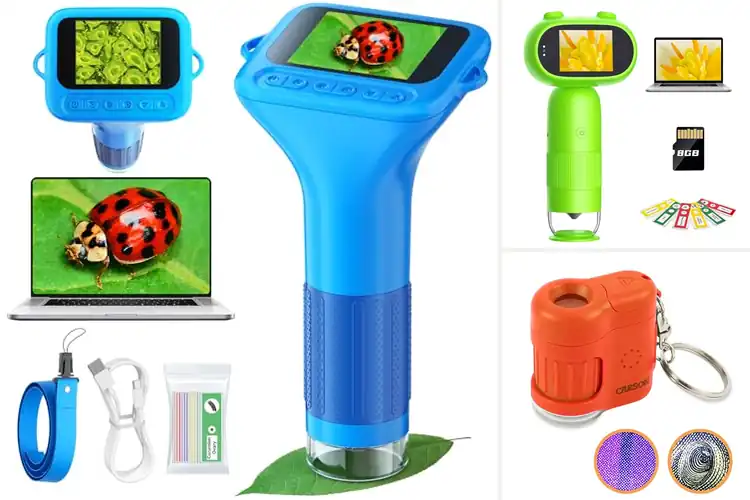 Detailed view of Best Pocket Microscopes For Children