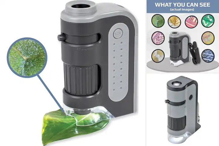 Detailed view of Best Pocket Microscopes For Young Explorers