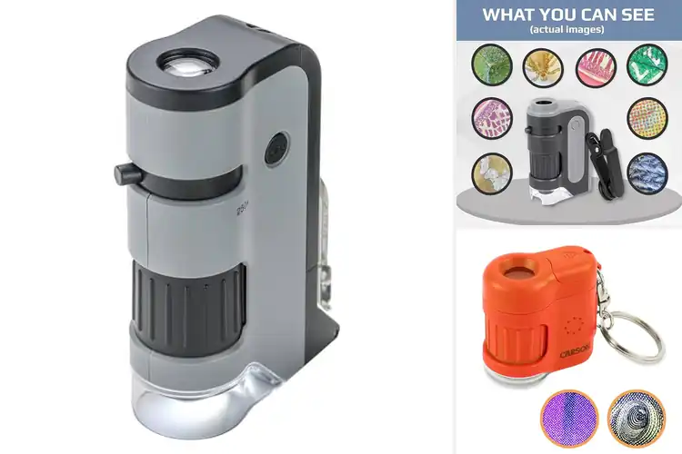 Detailed view of Best Pocket Microscopes