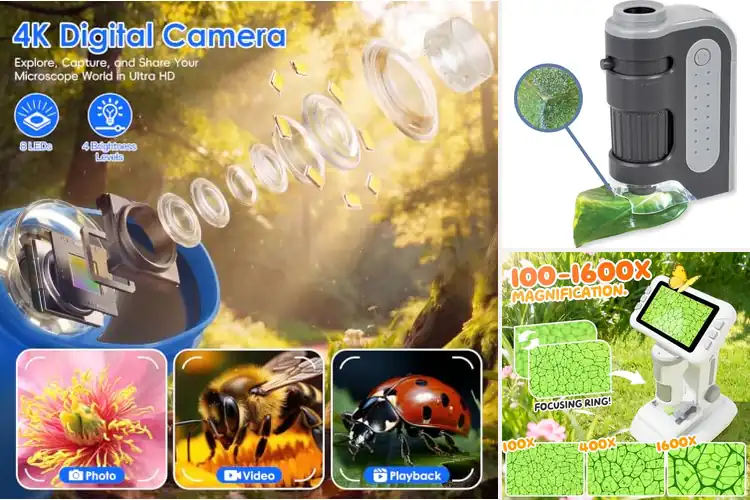 Detailed view of Best Pocket STEM Microscopes For Children
