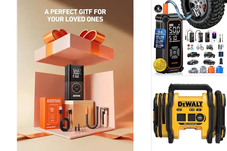 Detailed view of Best Portable Air Compressors