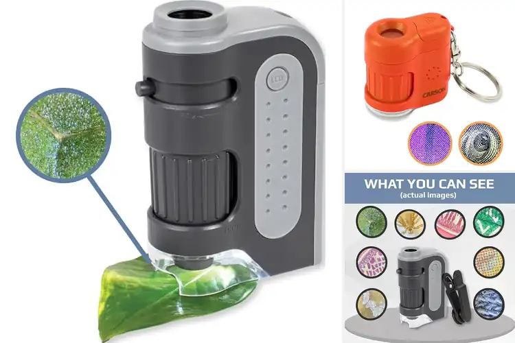 Detailed view of Best Portable Pocket Microscopes
