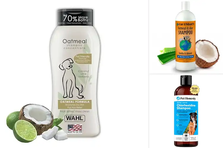 Detailed view of Best Sensitive Skin Pet Shampoos