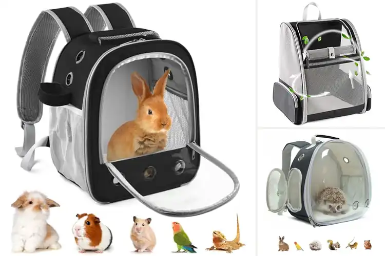 Detailed view of Best Small Animal Backpacks: Top 10 Picks for Travel