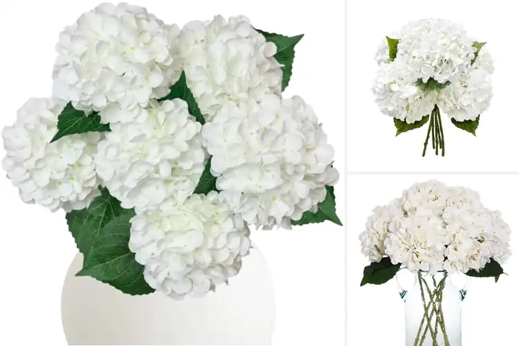 Detailed view of Best White Hydrangea Bouquets for Elegant Spaces