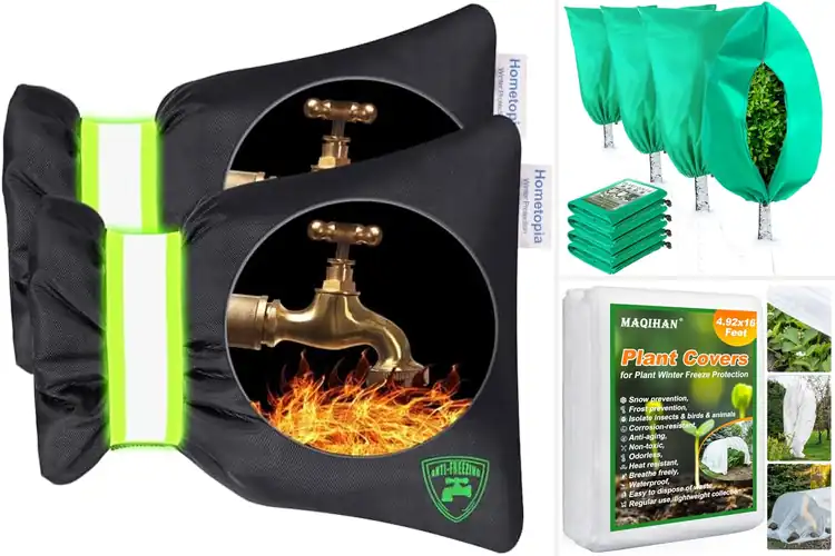 Detailed view of Best Winter Protection Products